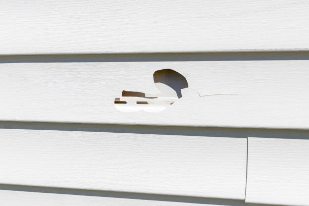 Affordable siding repair and maintenance services in Arapahoe, NE